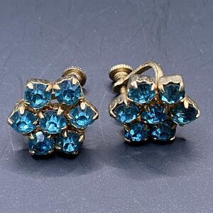Vintage Rhinestone Blue Flower Cluster Earrings Gold Tone Screw Back Costume